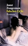 Cover zum Buch Falsches Licht