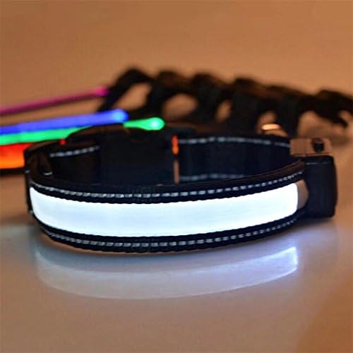 LED Dog Collar,Lanpangzi Glowing Dog Collar Waterproof USB Charging &amp; Solar Charging, LED Dog Collar with Reflective Safety Collar,for Small-sized Dog Collar(7.5kg-15kg) - White(S:30cm-40cm)