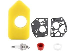 JEFFERGARDEN Kit de carburador, junta de diafragma, filtro de aire, kit de bujía para Briggs & Stratton, muchas piezas de repuesto de motores pequeños