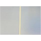 KRAF Yapışkanlı Not Kağıdı Extend 96x146mm 2x20 Yaprak &Ccedil;izgili Mavi