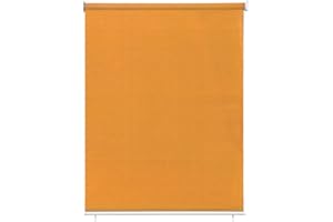 paramondo Store extérieur Enrouleur auvent Vertical Pare-Soleil pour terrasse de Balcon, résistant aux déchirures et aux intempéries, Suspendu, Entretien Facile, 100 x 240 cm [LXH] Orange
