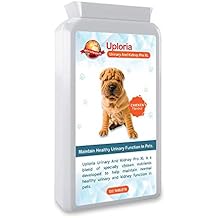 Amazon.co.uk: antibiotics for cats