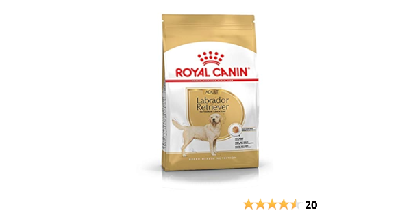 amazon royal canin labrador