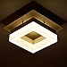 Produktbild Led Deckenleuchte Einfach Gang Lichter Hall Lichter Balkon Korridor Lichter Kreative Quadratische Lichter Weißes Licht 20 * 20Cm 12W