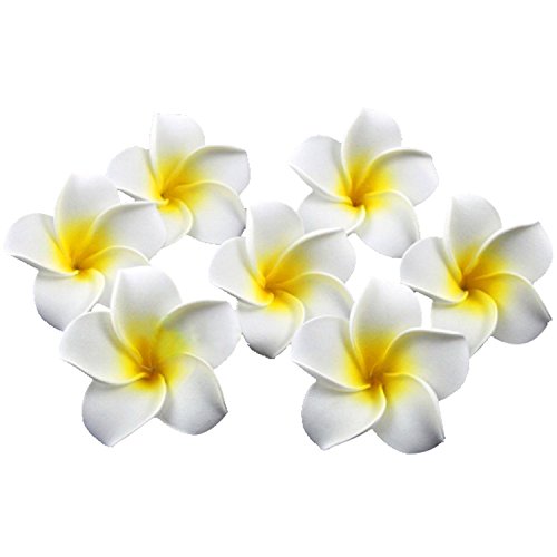 HugeStore 100er 6CM Plumeria Hawaiian Frangipani Schaumblüte für Hochzeit Party Dekoration Weiß