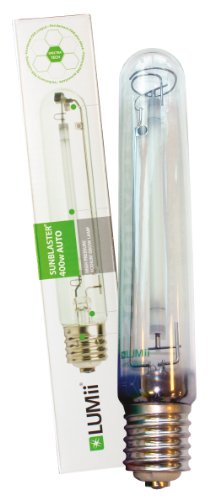 LUMii 03-115-205 - Bombilla para Invernadero