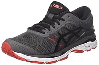 asics gel kayano 24 hombre Gris