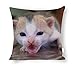 Produktbild Dartys Pillow Cover cat-mewing-3155x2112_28424 Quadratischer Baumwolle und Leinen Kissenbezug 18x18 - Zoll Pillowcase 45x45 cm