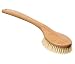 Kent Brushes Compact Natural White Bristle Shower/ Exfoliating Brush Oval Beechwood Handle