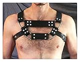 Con 6 anillos en O de metal, protectores de lomo traseros con cordones como parte de todo el arnšŠs