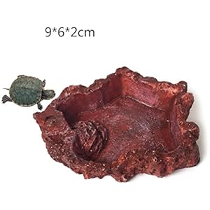 Reptile Futternapf, Designerbox Futter und Wasser Kunstharz Dish Ernährung Futterspender für Pet Vivarium Schildkröte Eidechse Gecko Schlange Natürliche Form Schale