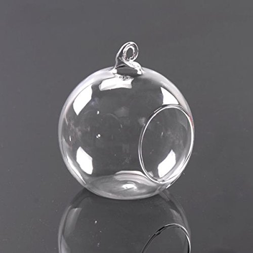 Hängende Glas Blumenvase Vase für Hängedeko Pflanzen Dekoration – 12cm Durchmesser - 5