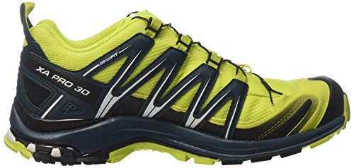 Salomon Herren Xa Pro 3d Gtx Traillaufschuhe, Gelb (Lime Punch./Black/Reflecting Pond), 46 EU - 6