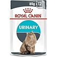 Royal Canin Urinary Care In Gravy Adult Wet Cat Food 85g (Pack of 48)