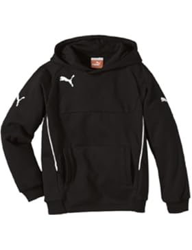 Puma Herren Kapuzenpullover