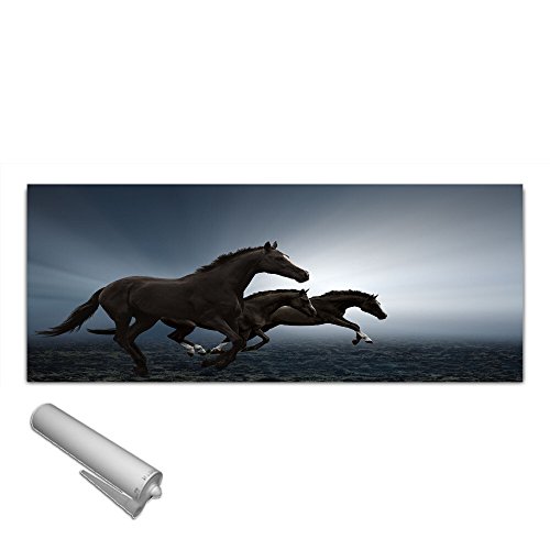 Küchenrückwand von DekoGlas aus gehärtetem vorgespanntem Glas 125x50cm Echtglas Float Sicherheitsglas ESG kein Acrylglas Spritzschutz Fliesenspiegel Nischenwand Pferde