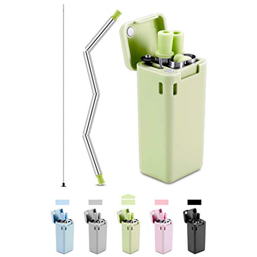 Qisiewell - Cannuccia in acciaio INOX, riutilizzabile, pieghevole, con portachiavi, spazzola per la pulizia verde