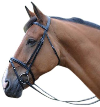 John-Whitaker-IFB-Bridle