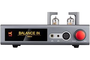 FANMUSIC XDUOO TA-22 ES9038Q2M*2 DSD256 HD Bluetooth PCM 32Bit/384kHz Balance Wyjście Wysokiej wydajności DAC/TUBE Balance Wzmacniacz słuchawkowy