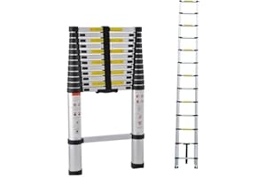 RIGOGO Scala telescopica in alluminio da 2,6 m, antiscivolo, allungabile, scaletta per pioli, con 9 pioli, facile da trasportare, portata 150 kg