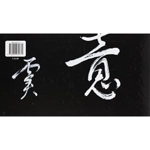 Xin Yi Quan. L'arte del combattimento istintivo. Con DVD