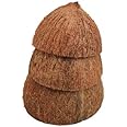 BNs Coconut Shell (Fully Cleaned, Pack of 6)