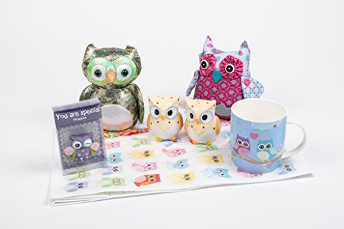 Hoot Hoot Bundle, Owl Bundle, Owl Collection, Salt & Pepper Set, Mug, fridge magnet, bag, paperweight, pink & purcple chintz owl, Parliament