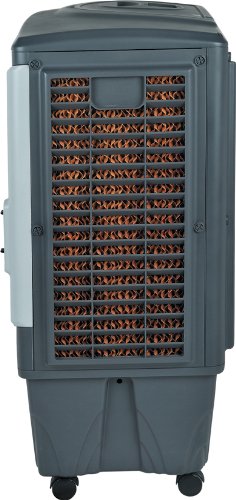 Honeywell CL60PM Luftkühler - 3