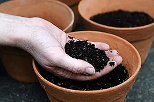 PLANTSHOPY All Purpose Organic Potting Soil Mix with Required Fertilizers for Plants and Gardening (1)