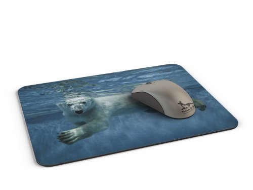 Mauspad / Mouse Pad aus Textil mit Rückseite aus Kautschuk rutschfest für alle Maustypen Motiv: Eisbär taucht nach Futter [02] - 2