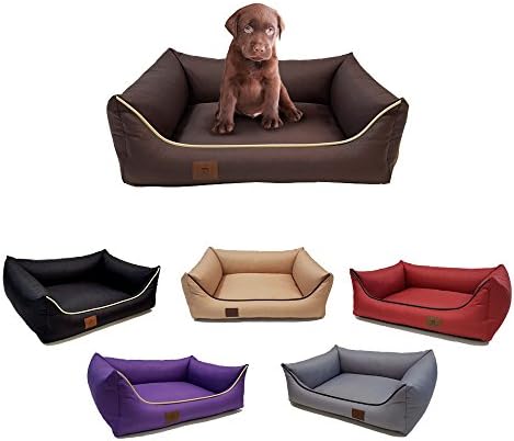 Polysoft Zipped Dog Bed, Size: XXL 95 x 75 Colour: beige ; From the manufacturer, made in the EU; Highest standard and quality; Waterproof; Resistant to scratching and hairs; Quality and workmanship guarantee. Fast Delivery.