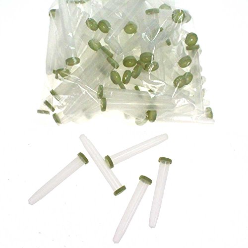 100 Orchideenröhrchen 16cc/16ml Wasserröhrchen Blumenröhrchen ca. 110x19mm