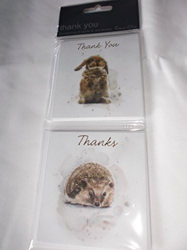 8 Simon Elvin Twin Thank You Cards &amp; envelopes - Cute Rabbit &amp; Hedgehog TP509R Brand New Design