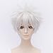 Produktbild EDAY 30cm Kurze Remasuri Weiß Anime Cosplay Perücken GINTAMA Sakata Gintoki Kostüm Party Haar