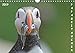 Papageitaucher (Wandkalender 2019 DIN A4 quer): Faszinierende Bilder aus dem Alltag der Papageitaucher (Monatskalender, 14 Seiten ) (CALVENDO Tiere) by