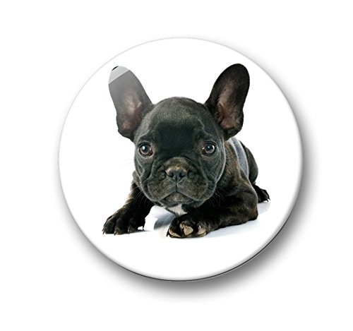 Französische Bulldogge Porträt – 6 große Kühlschrankmagnete Ø 5 cm [ 04 ] - 3
