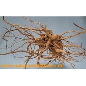 3 Stück Finger Wood 20-40 cm, Deko, Wurzel