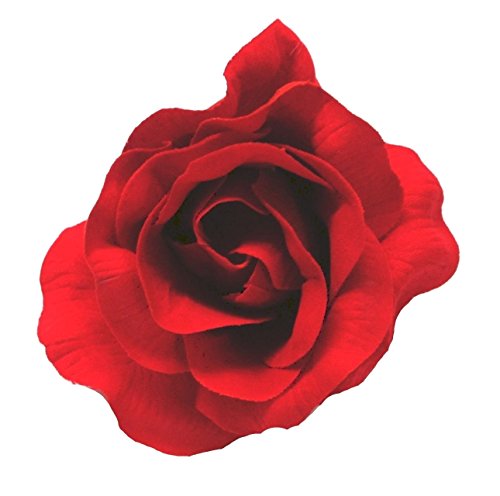 Crimson Red Fabric Large Burlesque Carmen Flower Rose Flamenco Dancer Pin up Hair Clip Slide