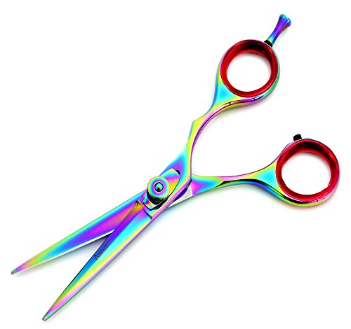 Awans Professional Hairdressing Barber Salon Scissors, Stainless Steel Sharp Razor Edge Titanium Scissors 5.5" 11B