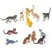 Produktbild Sharplace 12er/Set Lebensecht Kunststoff Katze Haustier Modell Spielfigur Kinder Spielzeug Sammlung Dekoration - Mehrfarbig