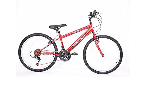 everest 21 speed mountain bike