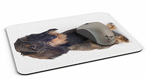 Mauspad / Mouse Pad aus Textil mit Rückseite aus Kautschuk rutschfest für alle Maustypen Motiv: Dackel Rauhhaardackel sitzend [26 ] - 2