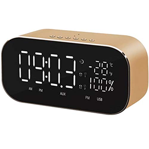 Preisvergleich Produktbild LOEROY Bluetooth Lautsprecher Radio Wecker, dimmbare LED-Anzeige, Doppelalarm mit Schlummerfunktion,Metallic