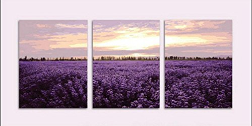 Preisvergleich Produktbild SodaStream Genesis Home Soda Maker Starter Kit, Black and Silver by SodaStream