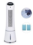 Radialight - Aer Domus - DAER0001 - Rafraîchisseur d'air évaporatif