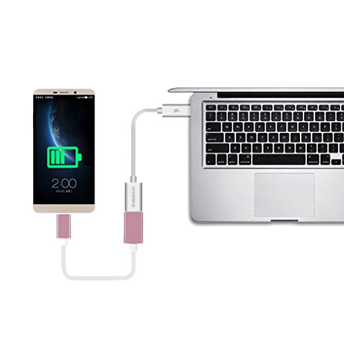 10.6cm USB Type-C Adapter, USB-C 3.1 auf USB-A 3.0 Kable Male to Female für USB Type-C Geräte, einschließlich MacBook, Chromebook Pixel, Nexus 5X, Nexus 6P, Nokia N1 Tablet und mehr (silber) - 4