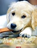 Hundekinder 2010 by