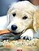 Hundekinder 2010 by