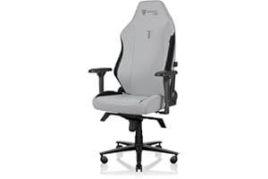 Secretlab TITAN Evo Ash Gaming Chair - Reclining - Ergonomic & Heavy Duty Computer Chair with 4D Armrests - Magnetic Head Pillow & Lumbar Support - Big and Tall Up To 395 lbs - Gray - Leatherette