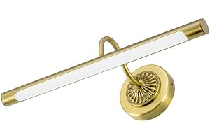 ‎ECOGEHEN 8W LED Spiegelleuchte Modern Vintage Metall Spiegellampe Wandleuchte Make Up Spiegel Licht Bilderlampen Wasserdicht Badezimmer Nachttischlampe Antibeschlag Wandlampe, Warmes Licht/Golden, 45cm